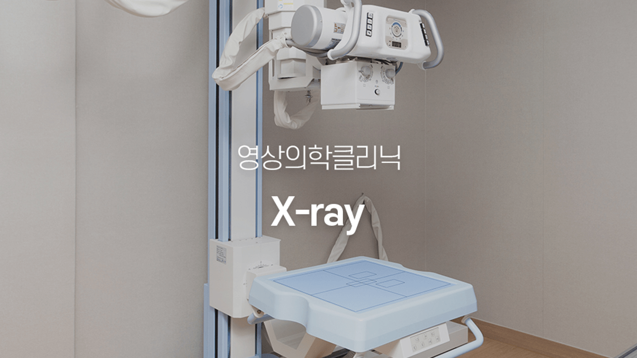 X-ray 사진